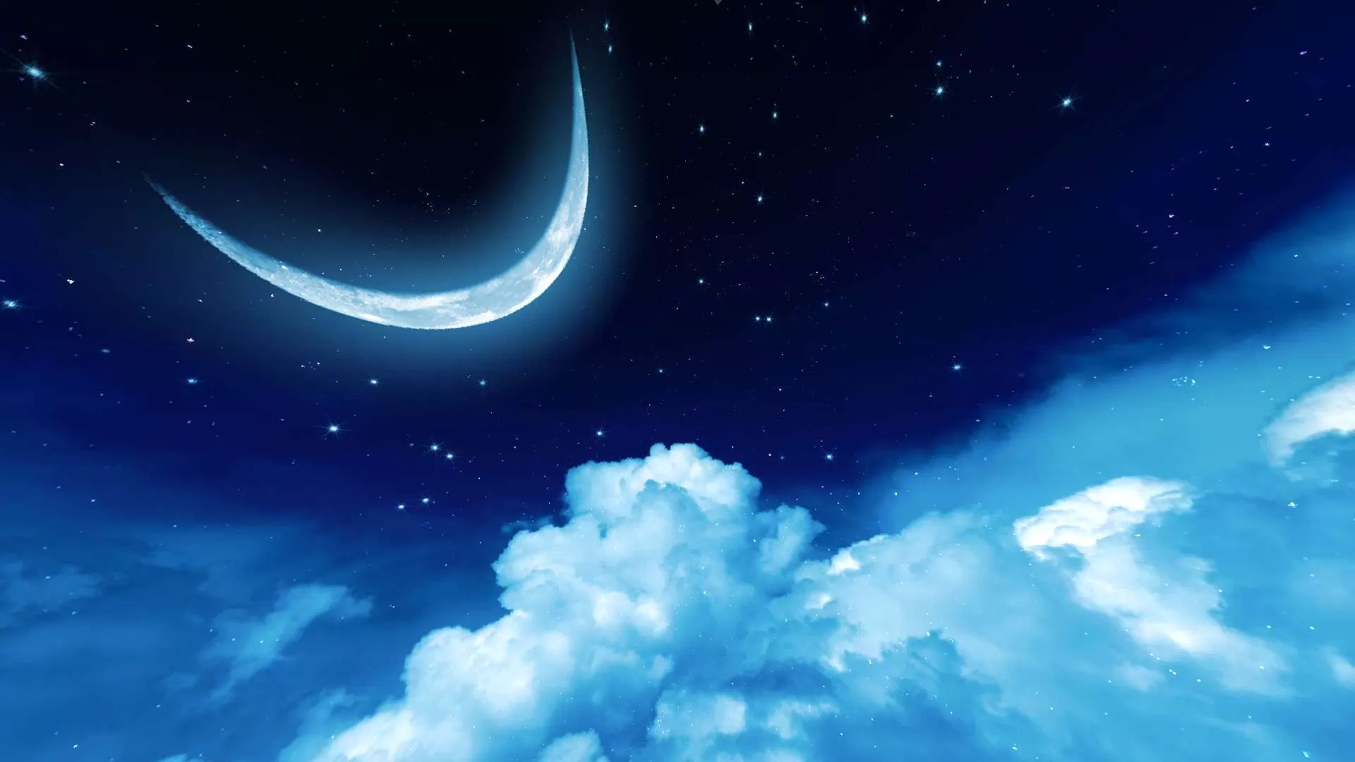 Gallery Image 1 for BlueOcean on PVPRP