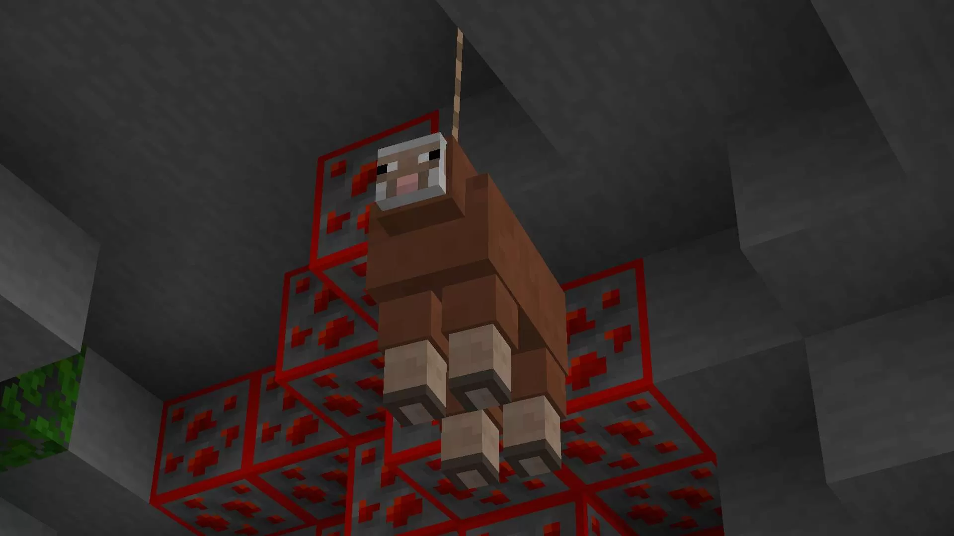 Gallery Image 4 for Acqua  on PVPRP