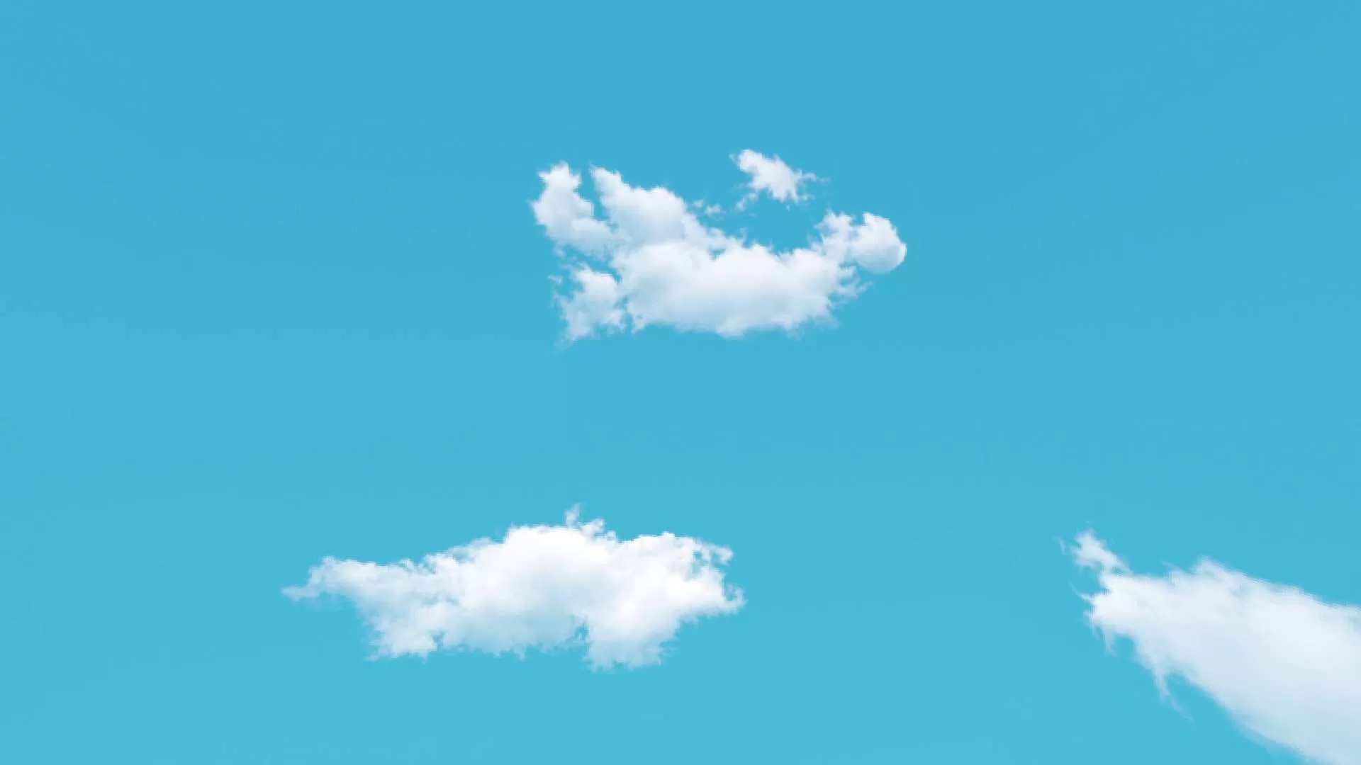 Gallery Image 7 for Cyanooa on PVPRP