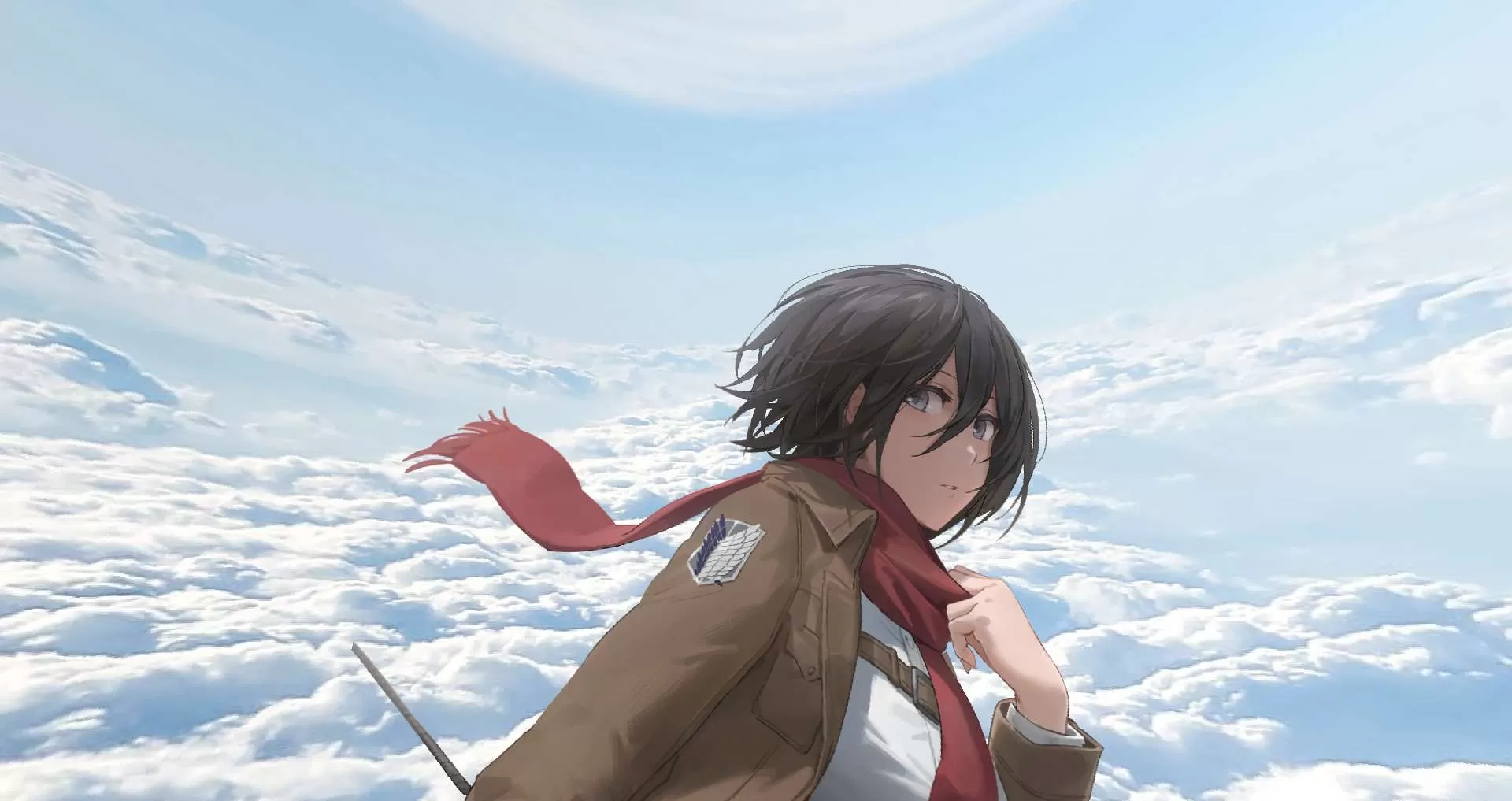 Gallery Image 5 for Mikasa Ackerman on PVPRP