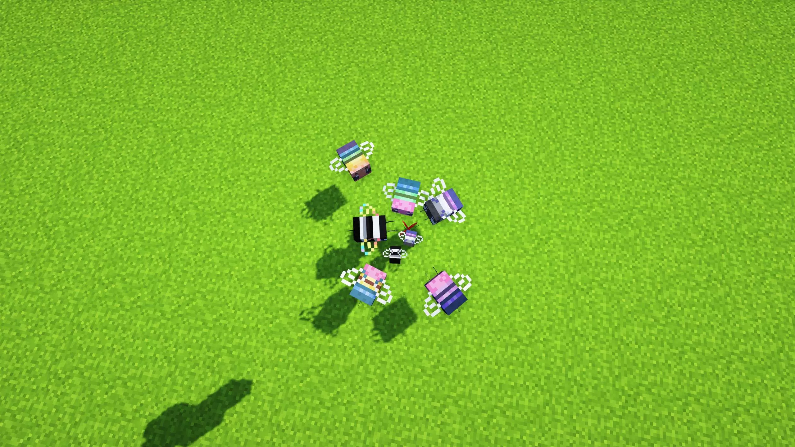 Gallery Image 7 for Bee-nilla on PVPRP