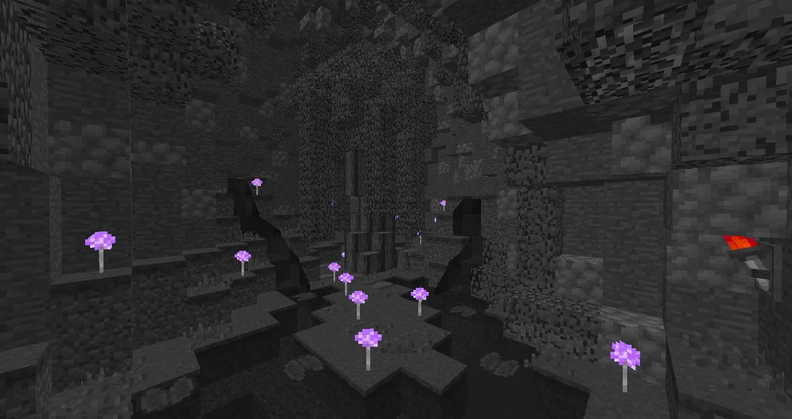 Gallery Image 5 for Nino on PVPRP