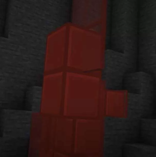 Gallery Image 1 for Cookie