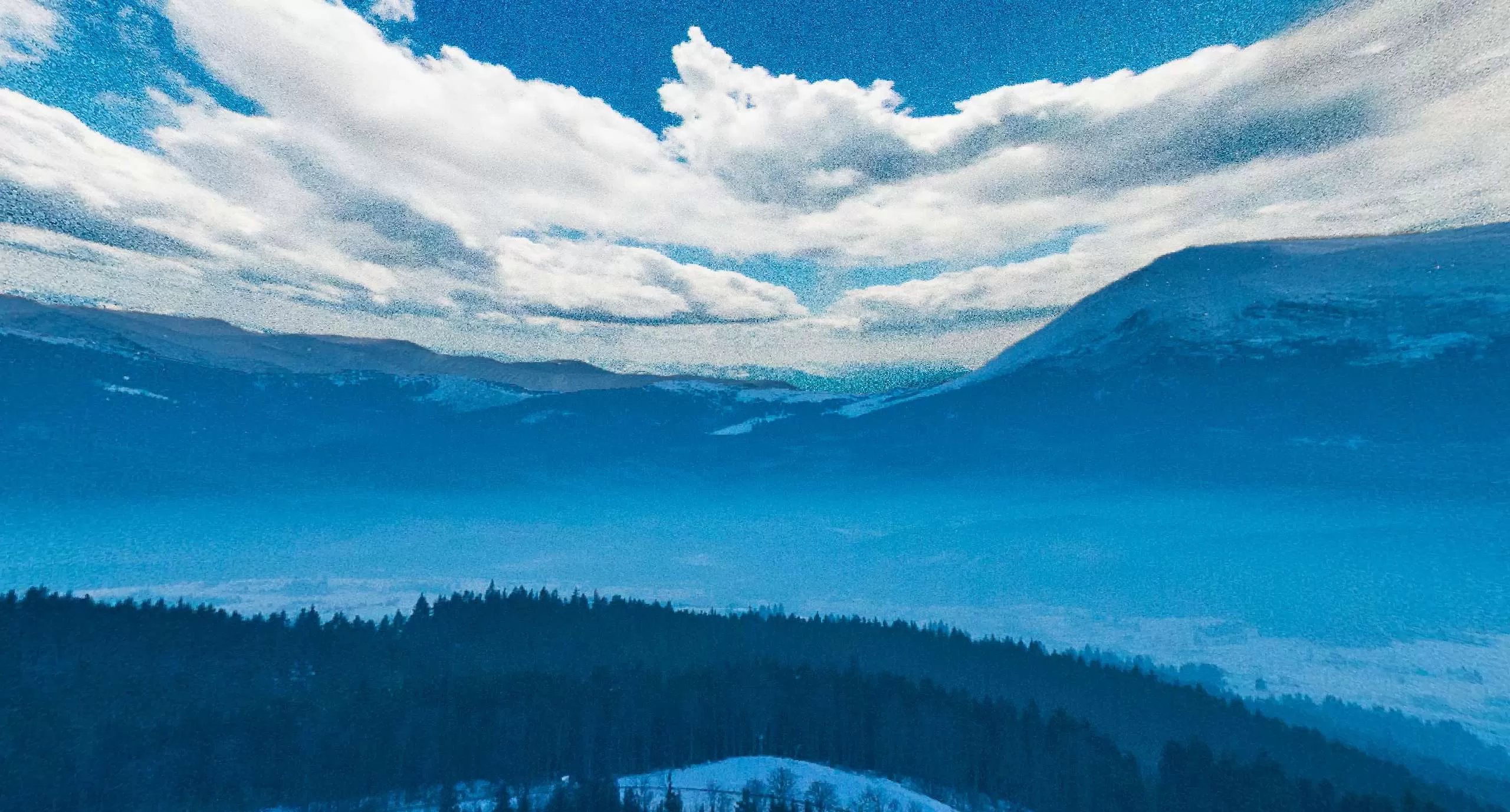 Gallery Image 8 for Nosta on PVPRP