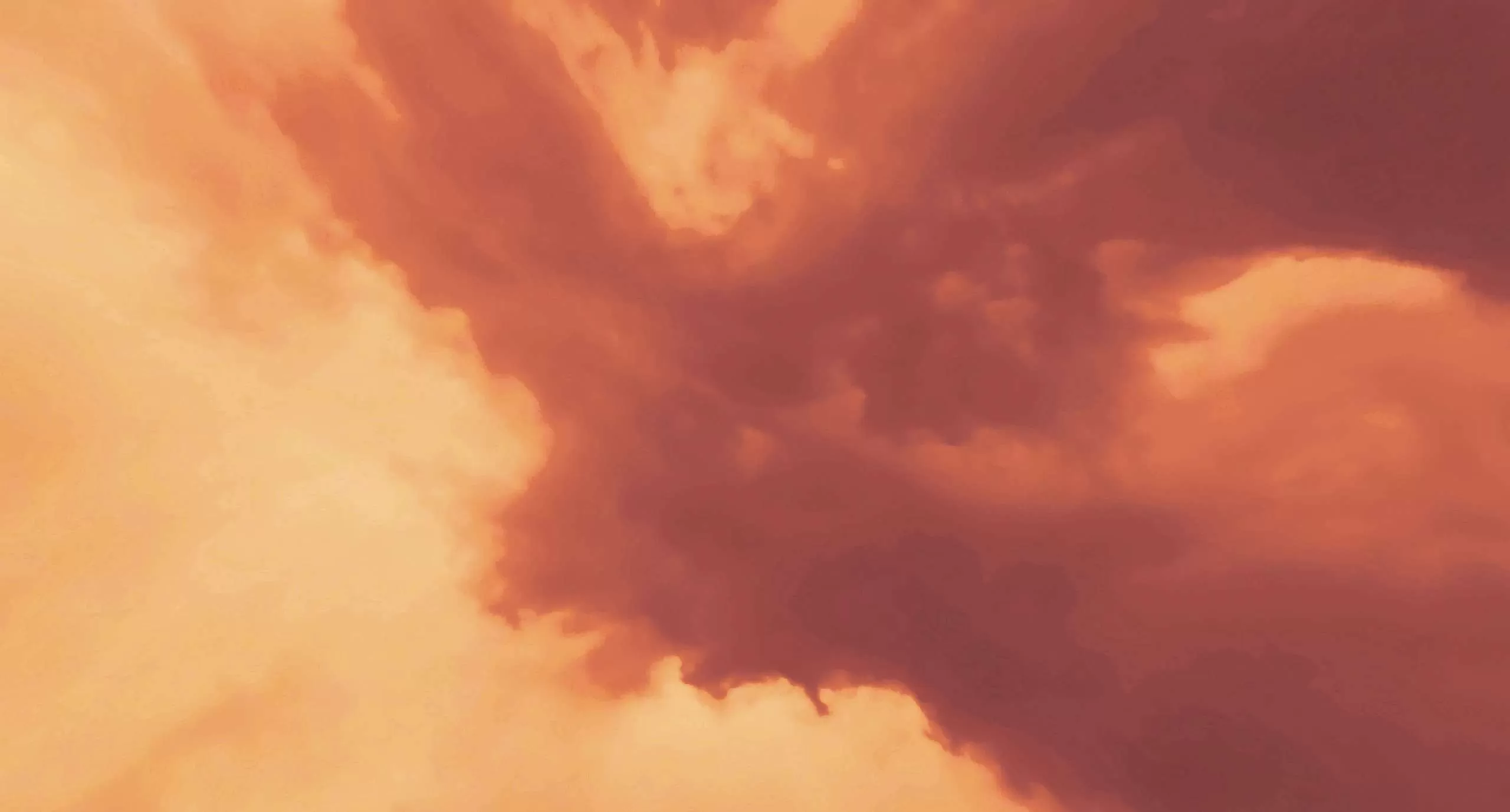 Gallery Image 9 for Nosta on PVPRP