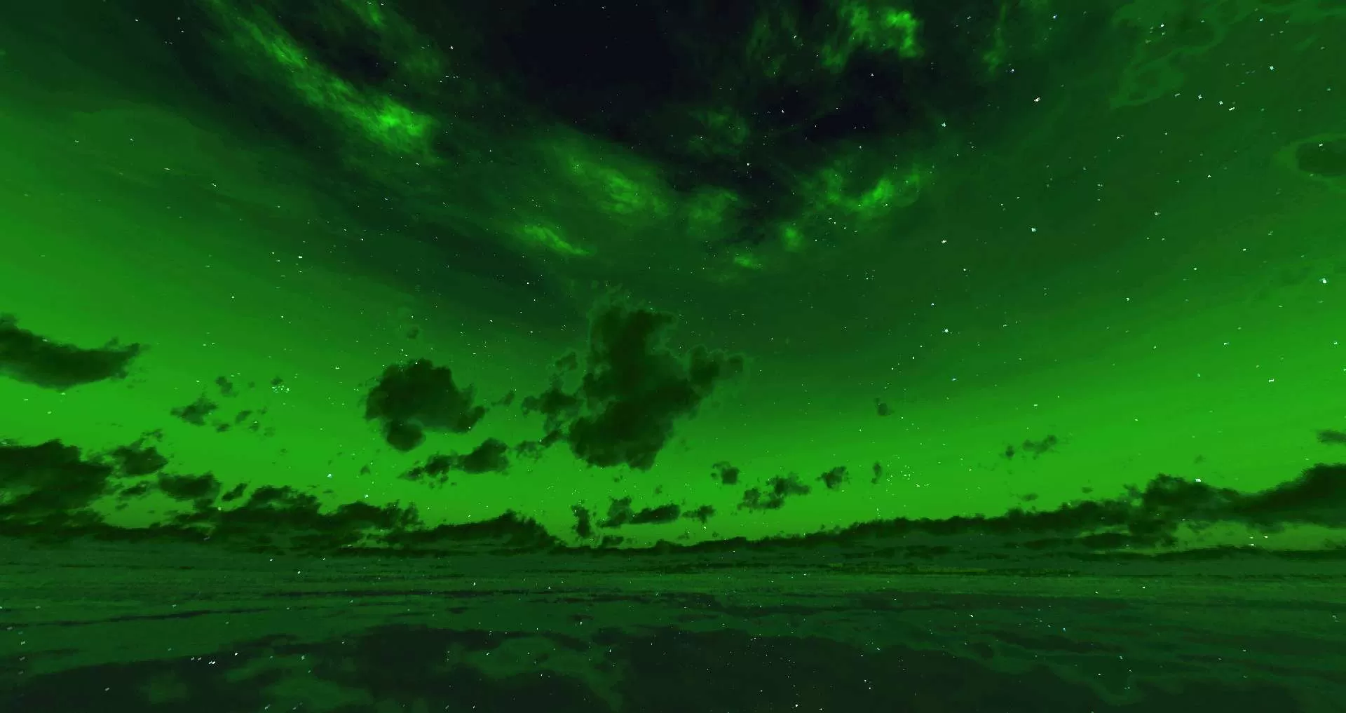 Gallery Image 4 for Luna (Green) on PVPRP