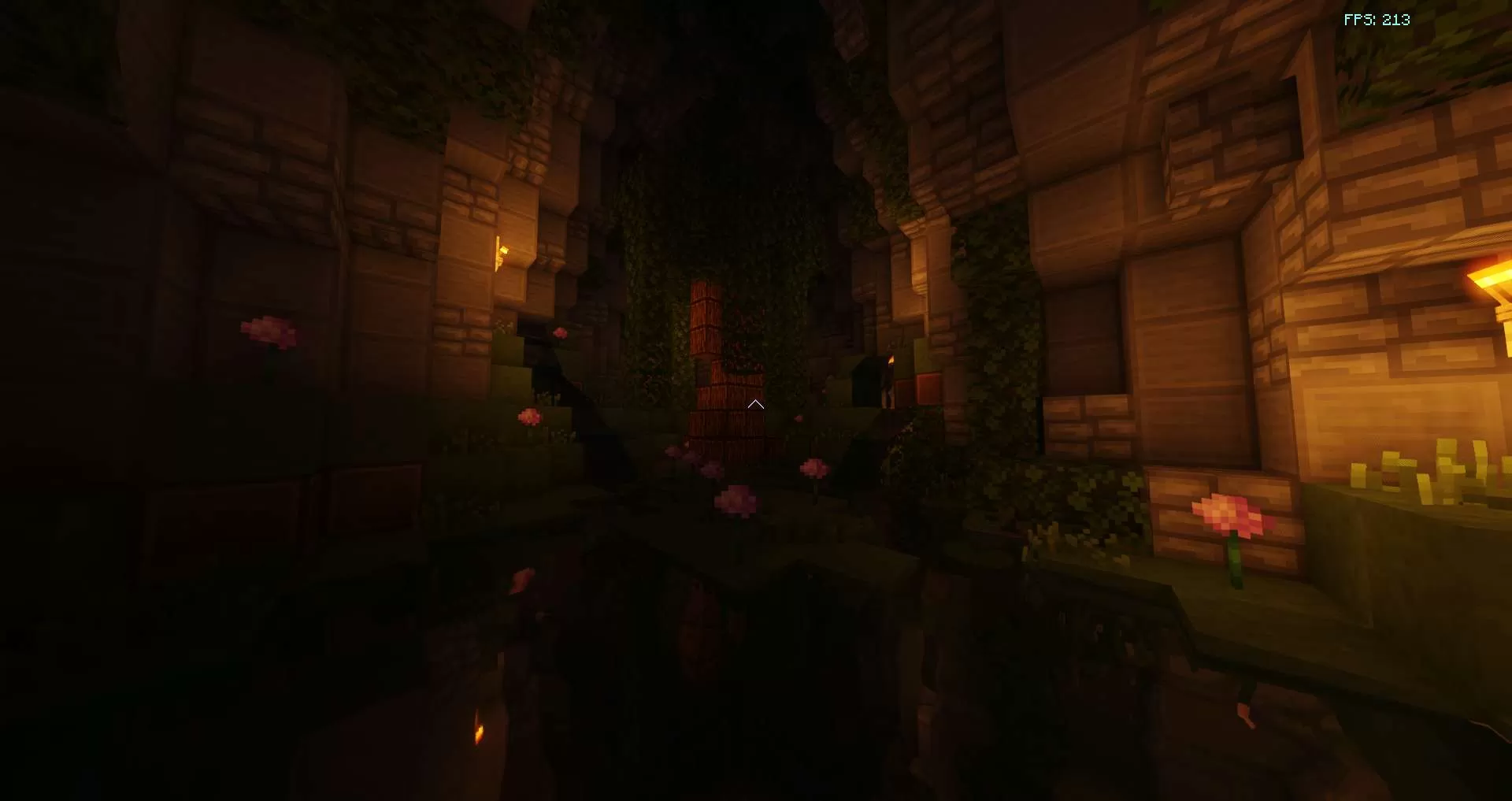 Gallery Image 6 for Typhoon on PVPRP