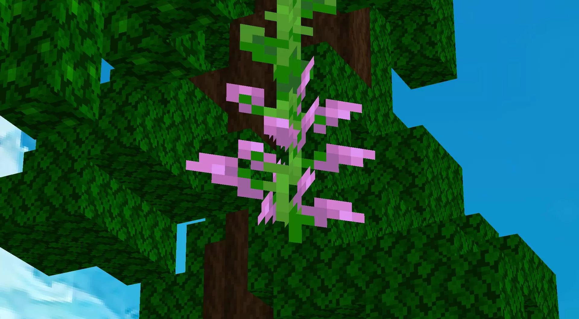 Gallery Image 8 for Eternity Sword  on PVPRP