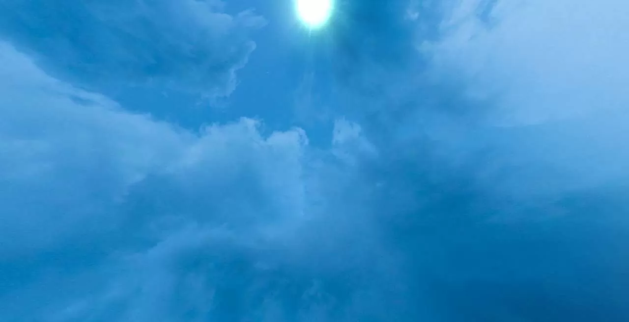 Gallery Image 5 for Toxicity on PVPRP