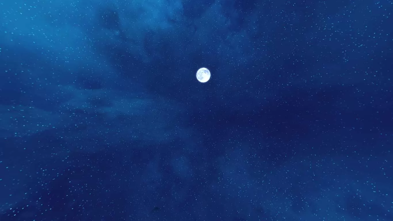 Gallery Image 2 for !  Default +  on PVPRP