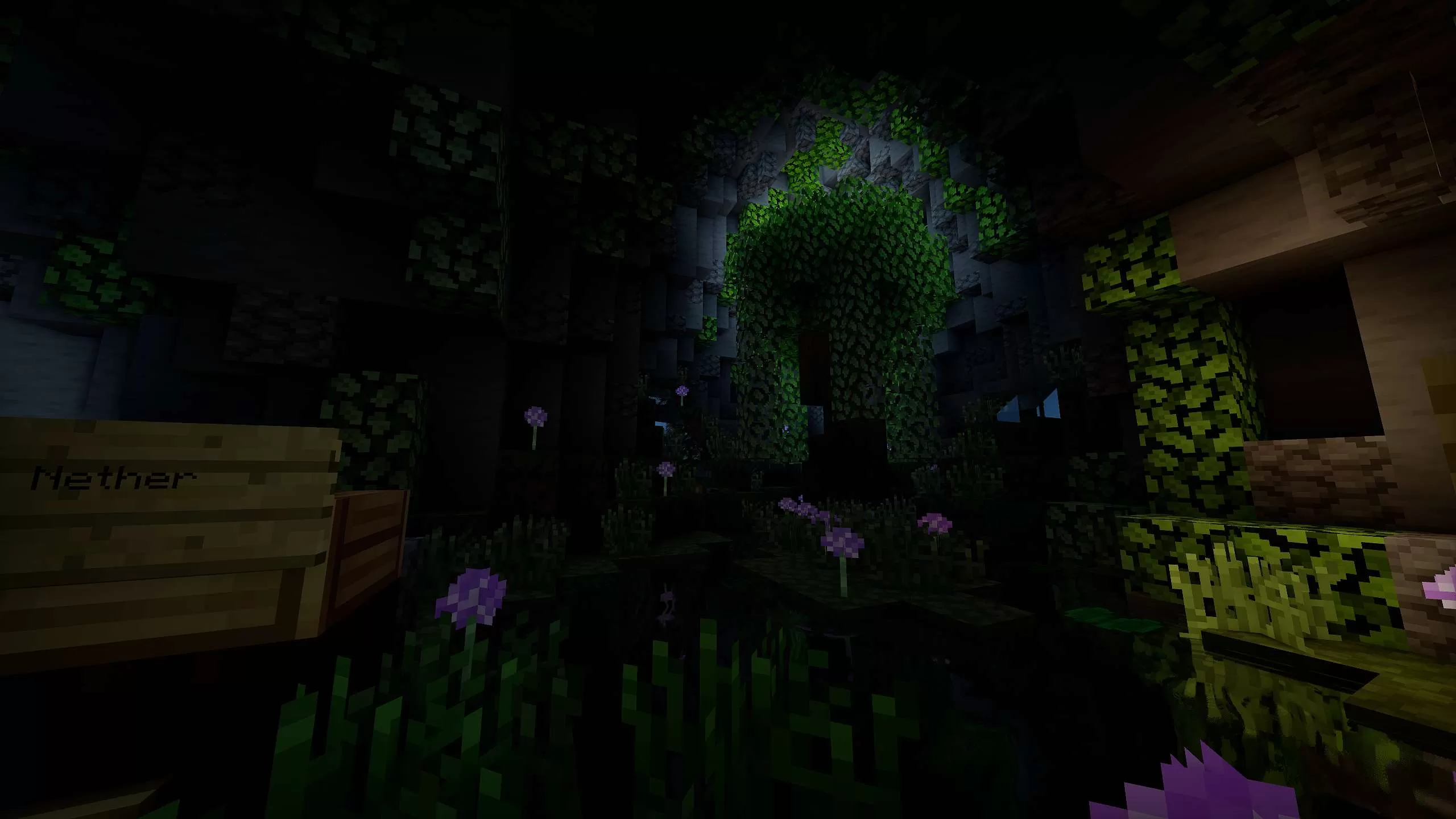 Gallery Image 4 for Midnight  GREEN on PVPRP