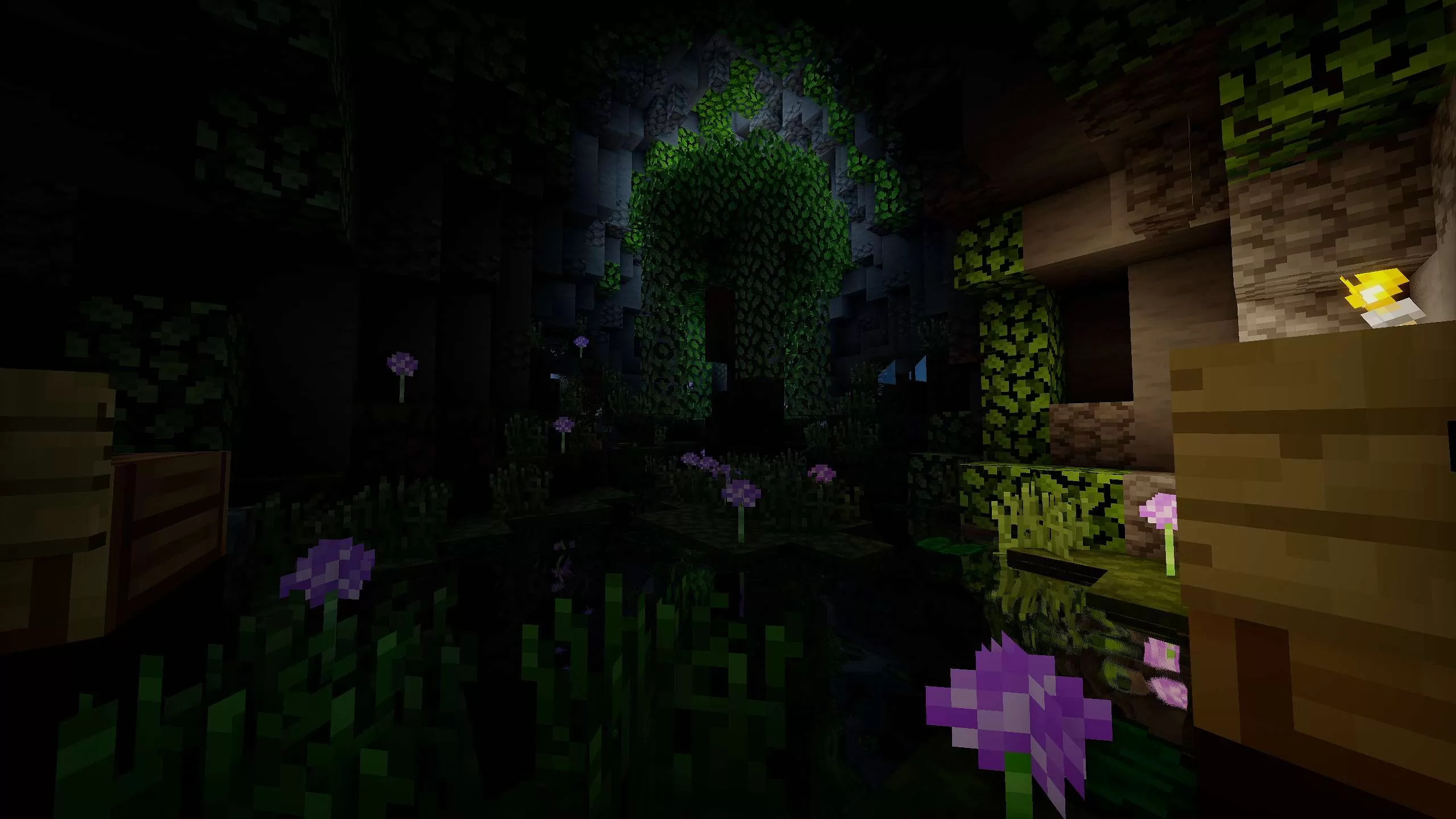 Gallery Image 5 for Midnight  GREEN on PVPRP