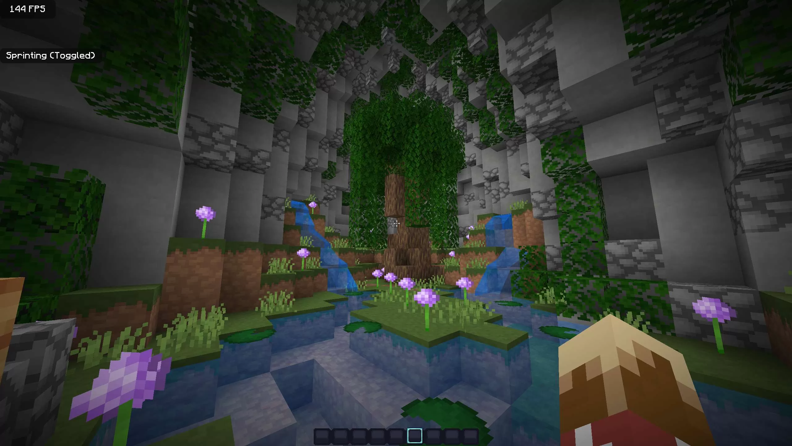 Gallery Image 12 for Pristine  1.8.9 on PVPRP