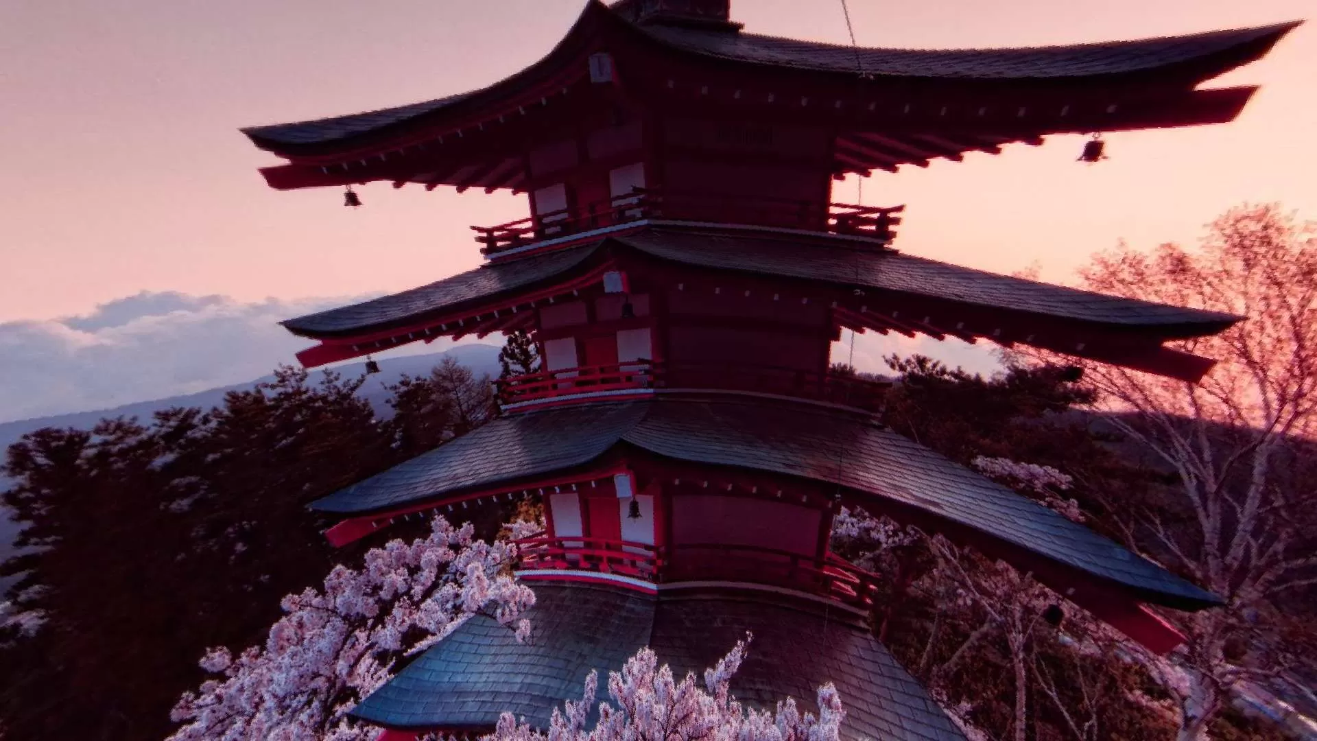 Gallery Image 5 for Gosaku on PVPRP