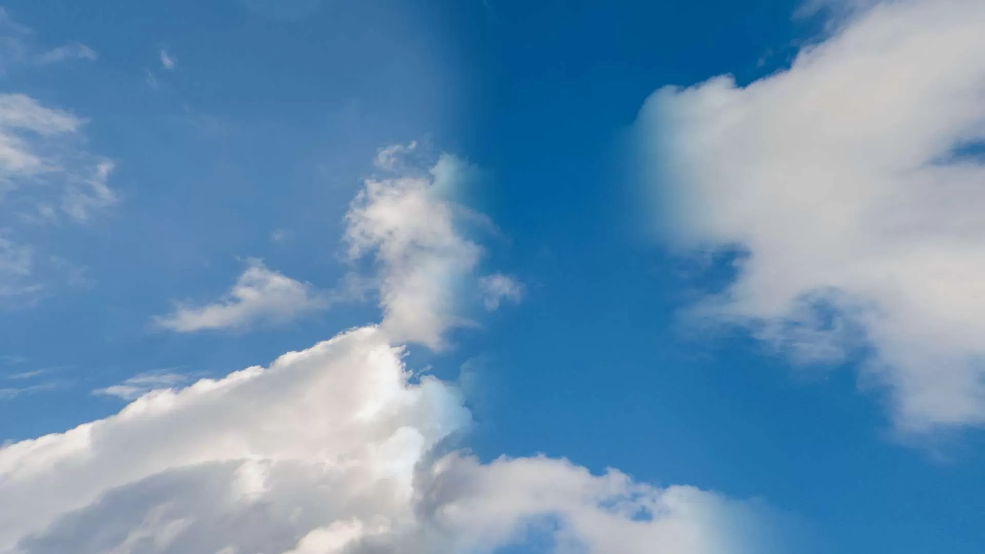 Gallery Image 3 for Likorrne Faith on PVPRP