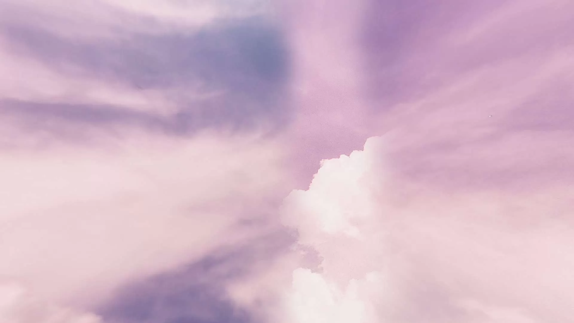 Gallery Image 6 for Divine on PVPRP