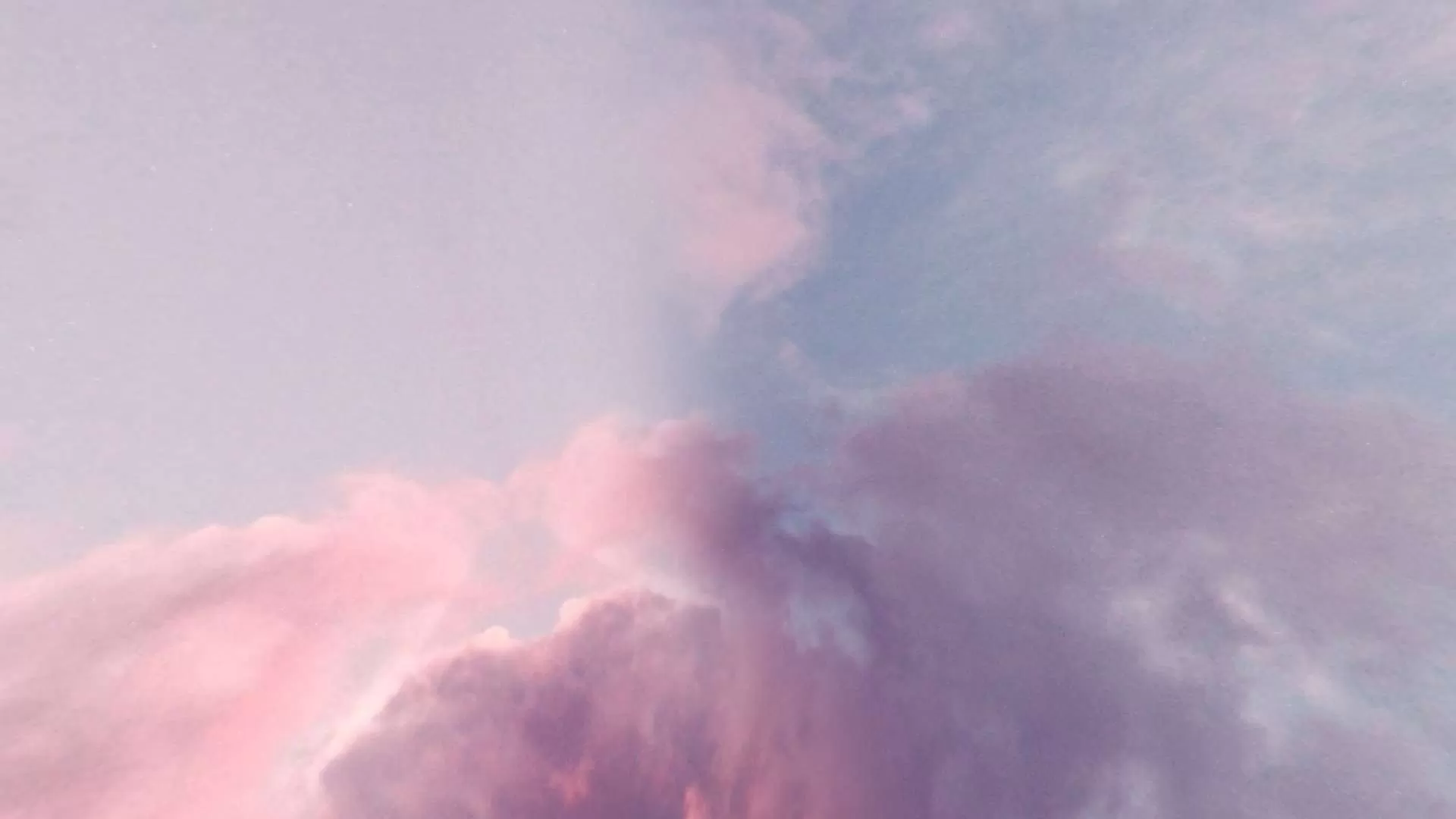 Gallery Image 7 for Nyven on PVPRP