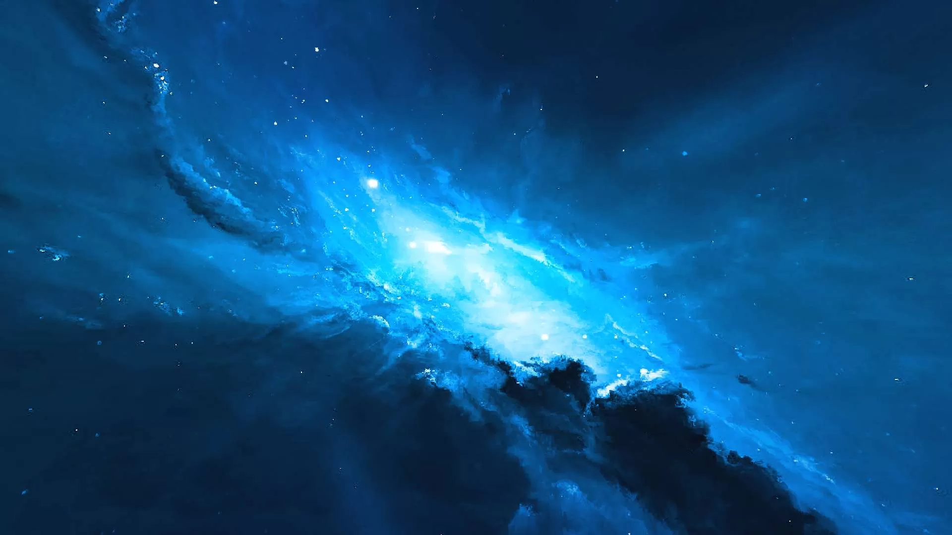 Gallery Image 1 for Hydrangea on PVPRP