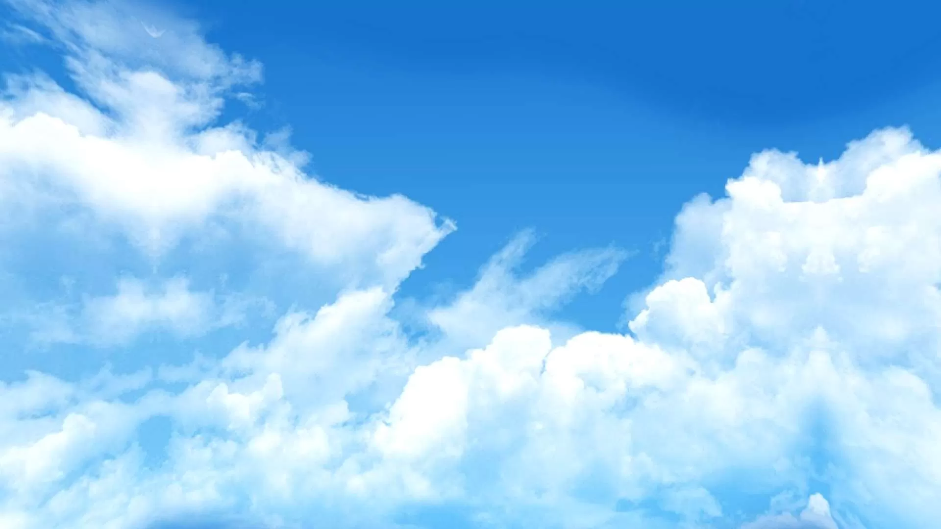 Gallery Image 4 for Aquator on PVPRP