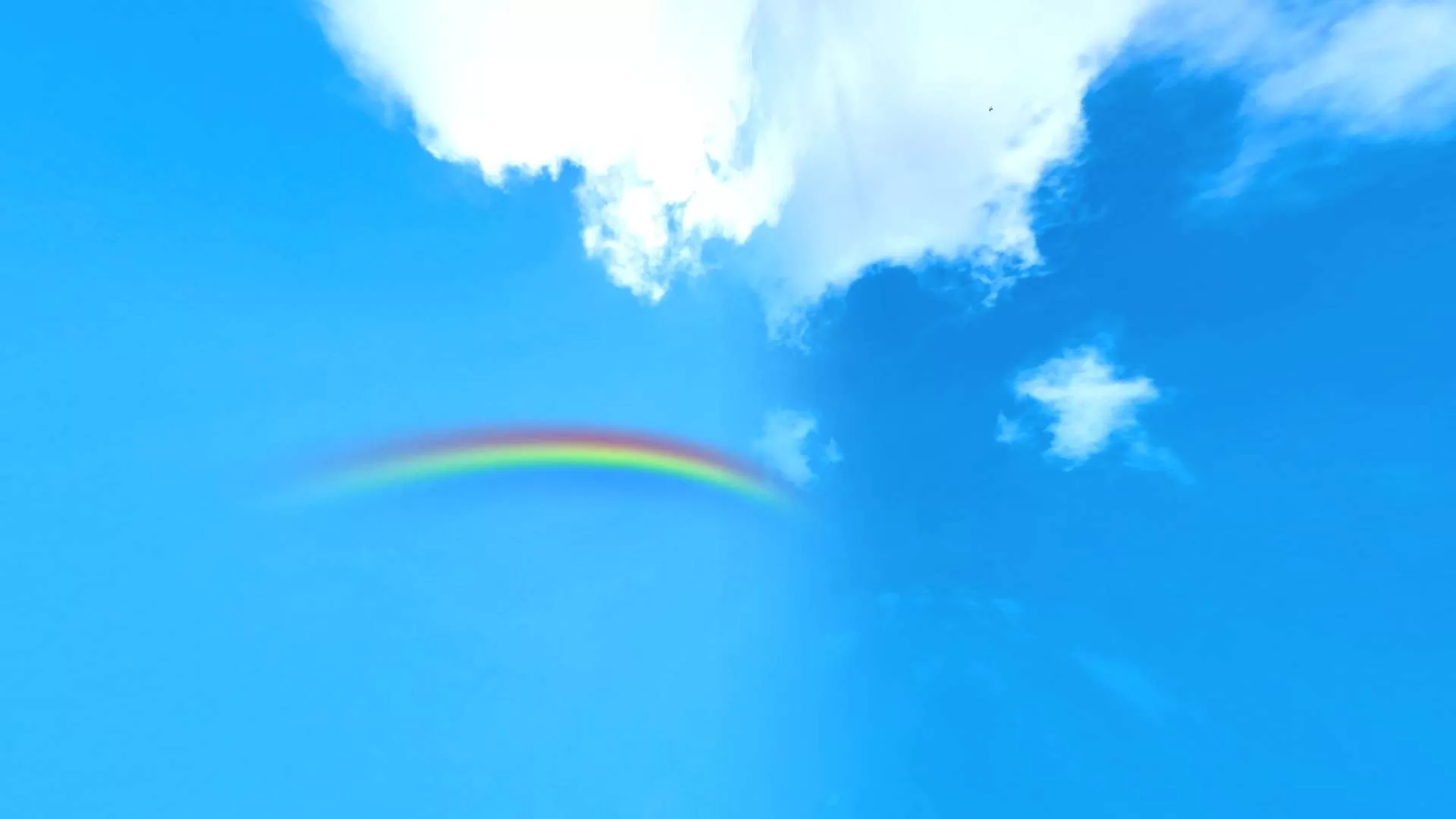 Gallery Image 4 for Bryox on PVPRP