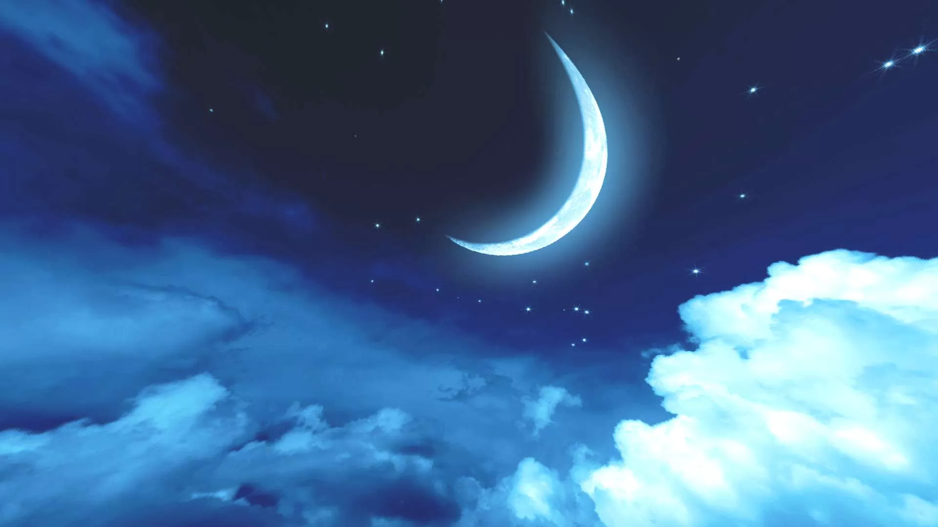 Gallery Image 2 for Oasie on PVPRP