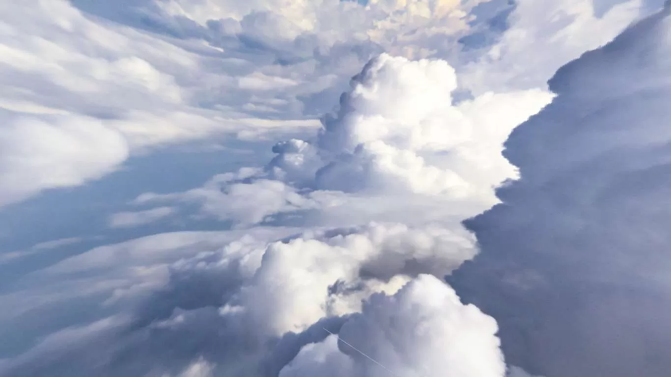 Gallery Image 6 for Lyes on PVPRP