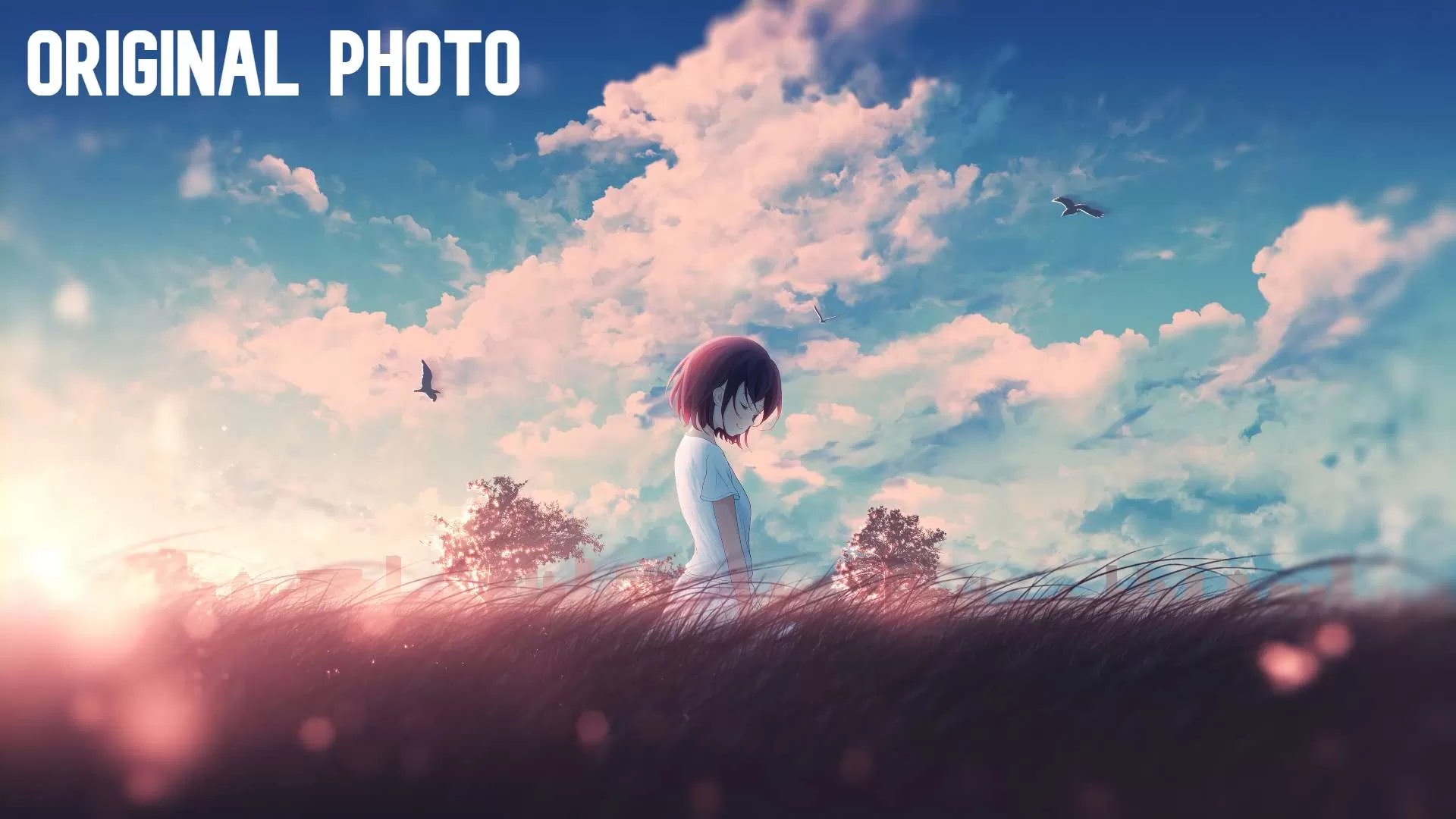 Gallery Image 1 for Day Sky Overlay #6 on PVPRP