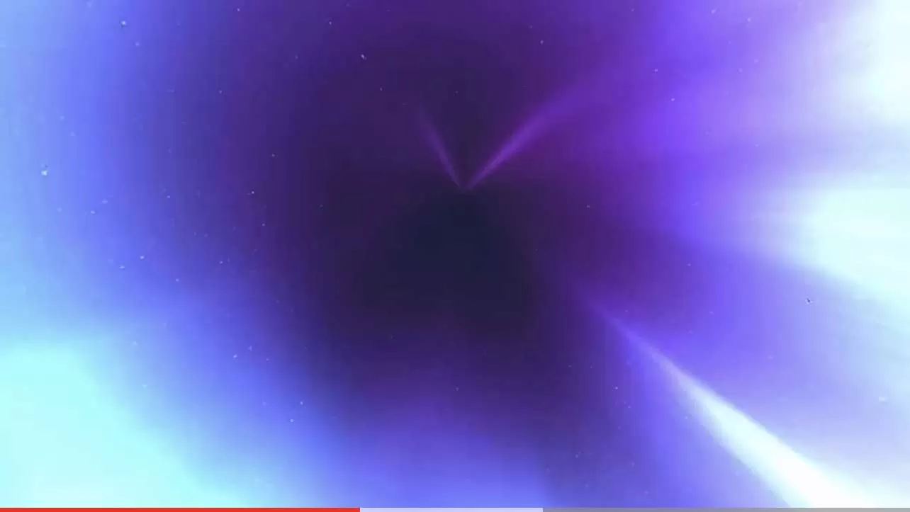 Gallery Image 1 for Shrimp on PVPRP