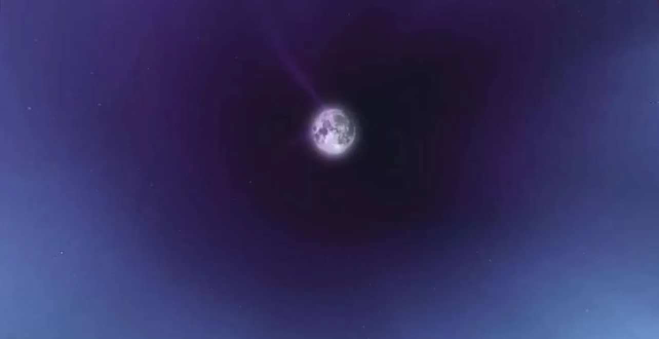 Gallery Image 3 for Shrimp on PVPRP