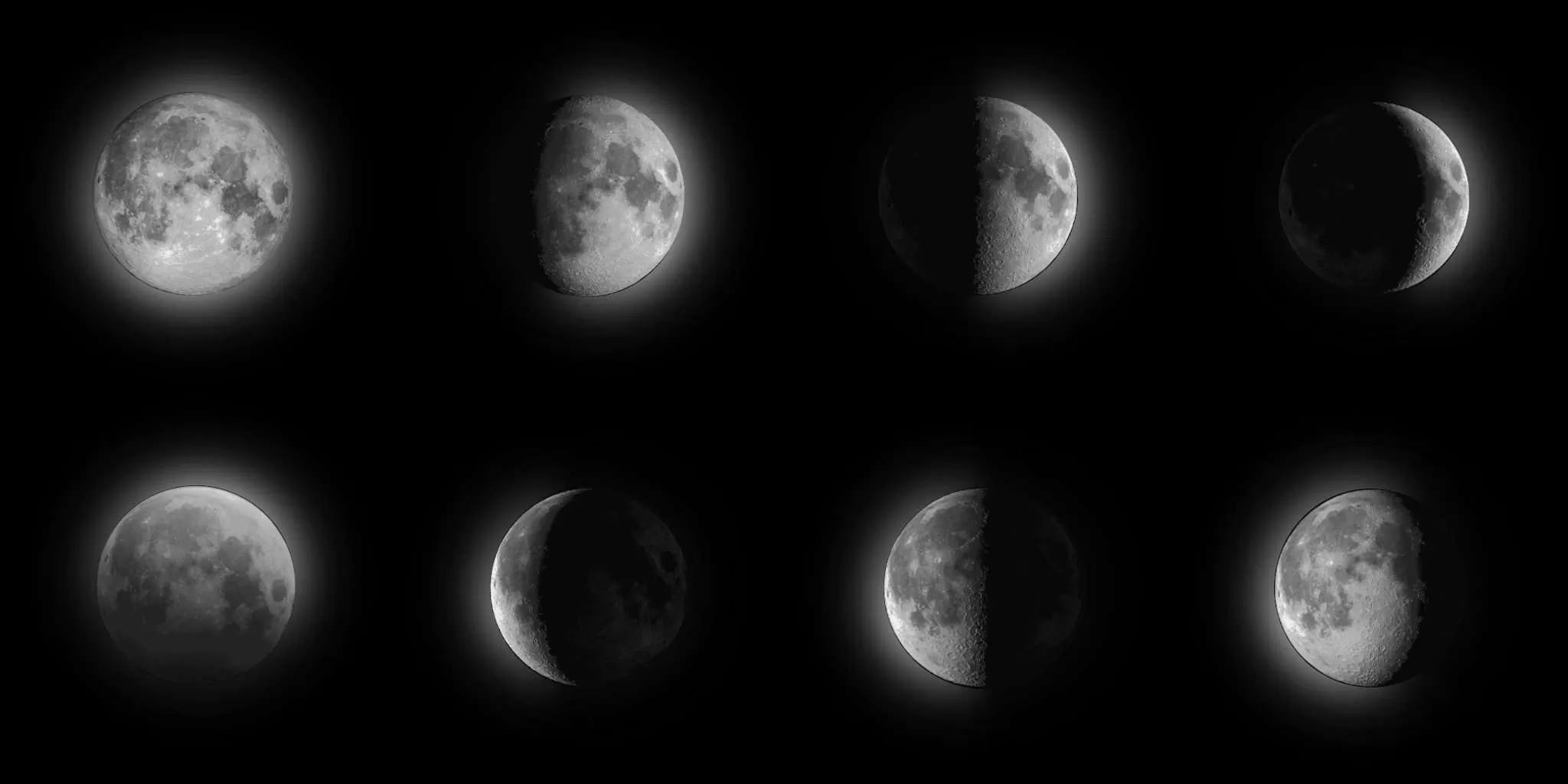 Gallery Image 5 for Grue on PVPRP