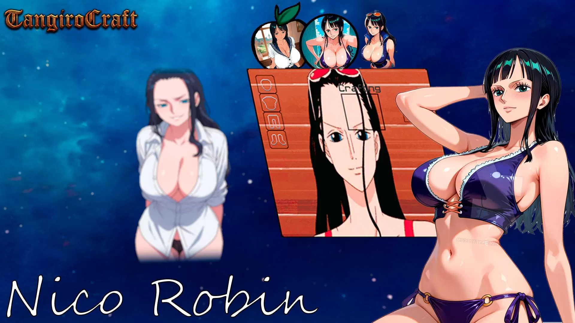 Gallery Image 8 for Nico Robin on PVPRP