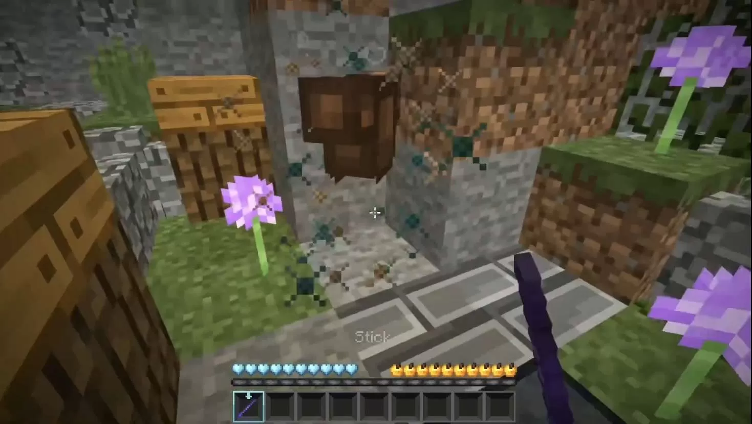 Gallery Image 4 for Tomi on PVPRP