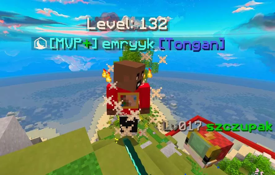 Gallery Image 1 for Tonga Guild Texture Pack V2 [] on PVPRP