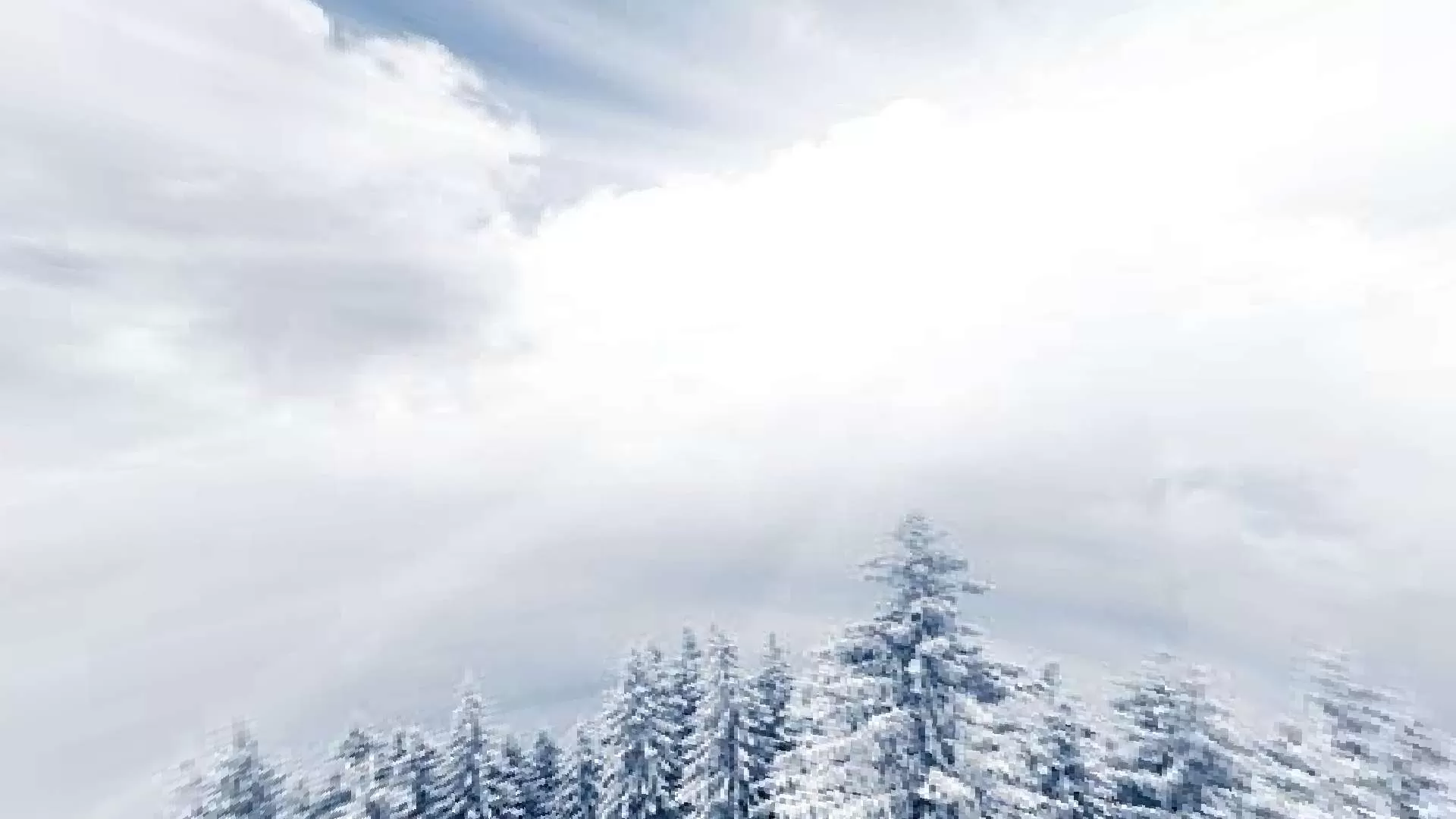 Gallery Image 5 for Festive REVAMP on PVPRP