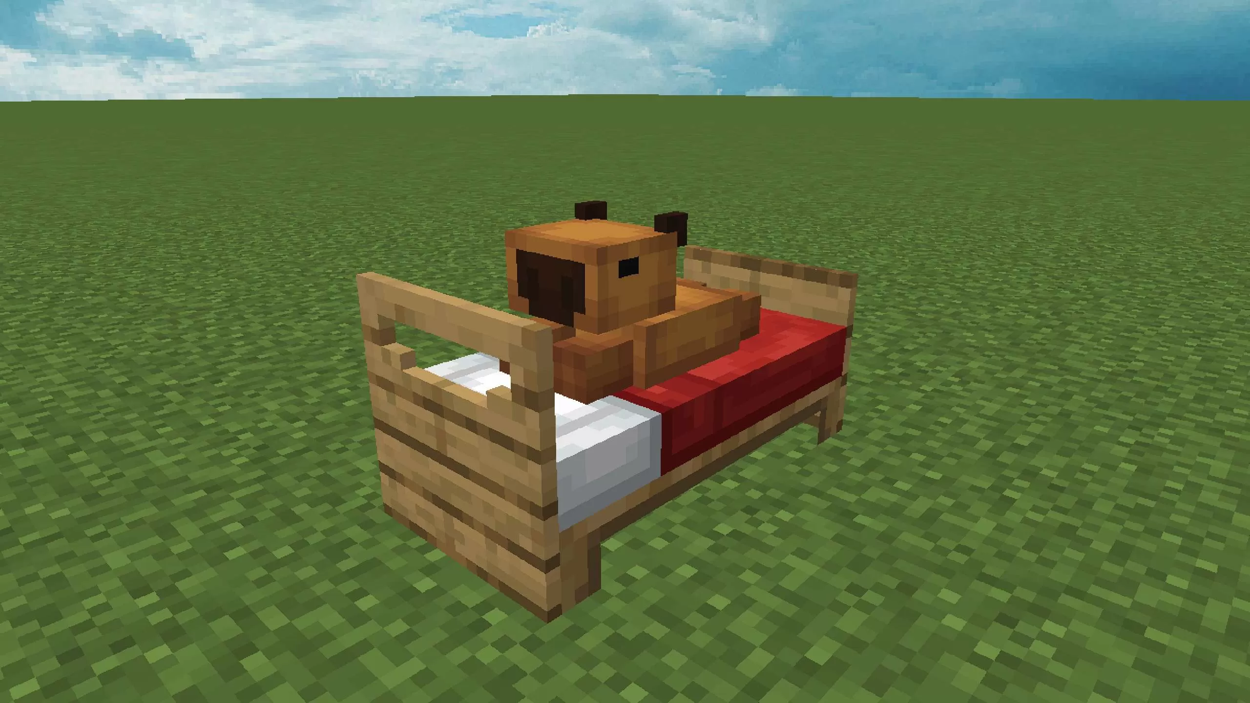 Gallery Image 1 for Capybara Bed Overlay on PVPRP