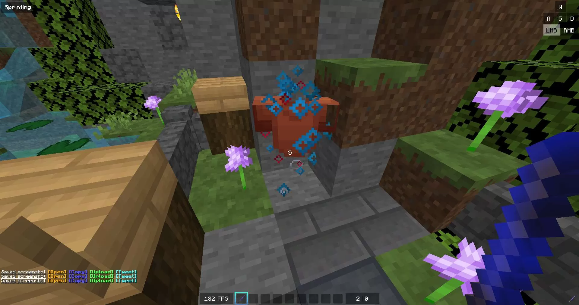 Gallery Image 8 for Blotic  on PVPRP