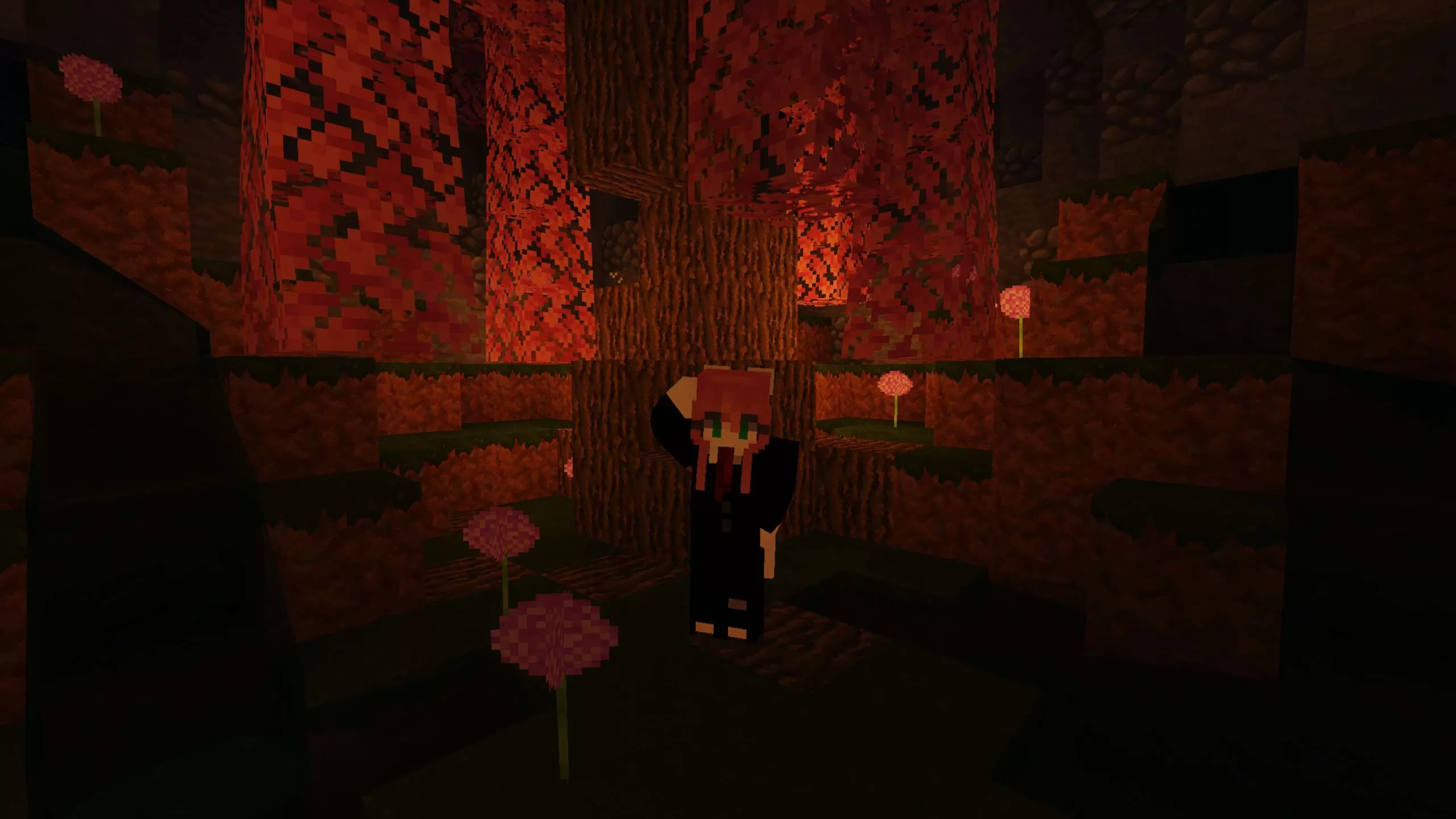 Gallery Image 5 for EndFault on PVPRP