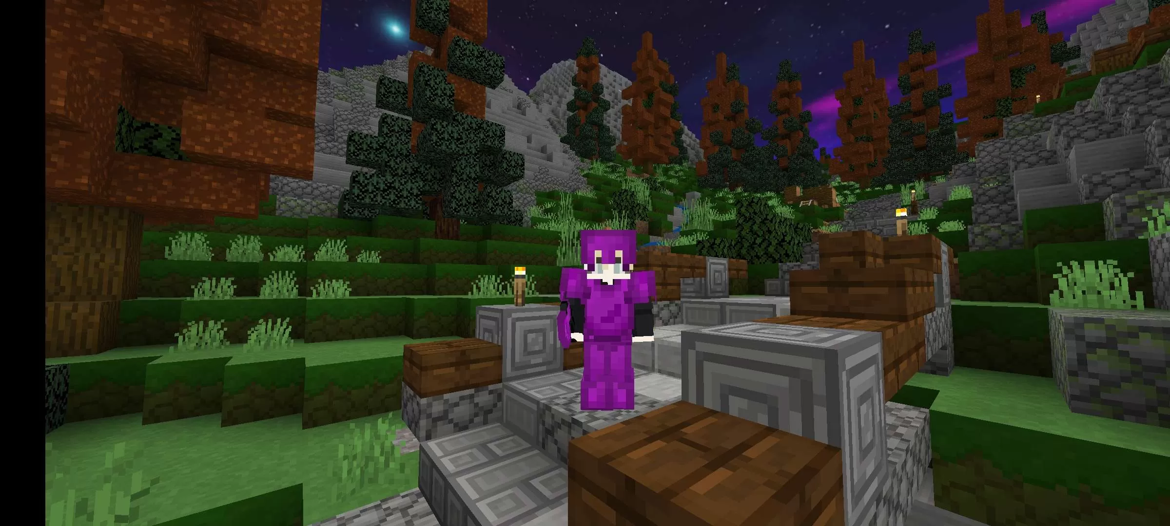 Gallery Image 1 for Mage on PVPRP