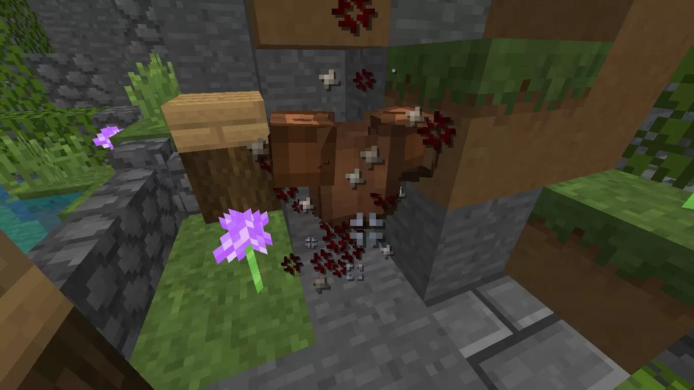 Gallery Image 5 for Supra on PVPRP