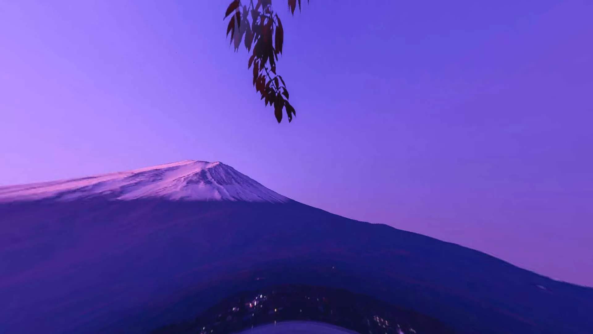 Gallery Image 6 for Missing  on PVPRP