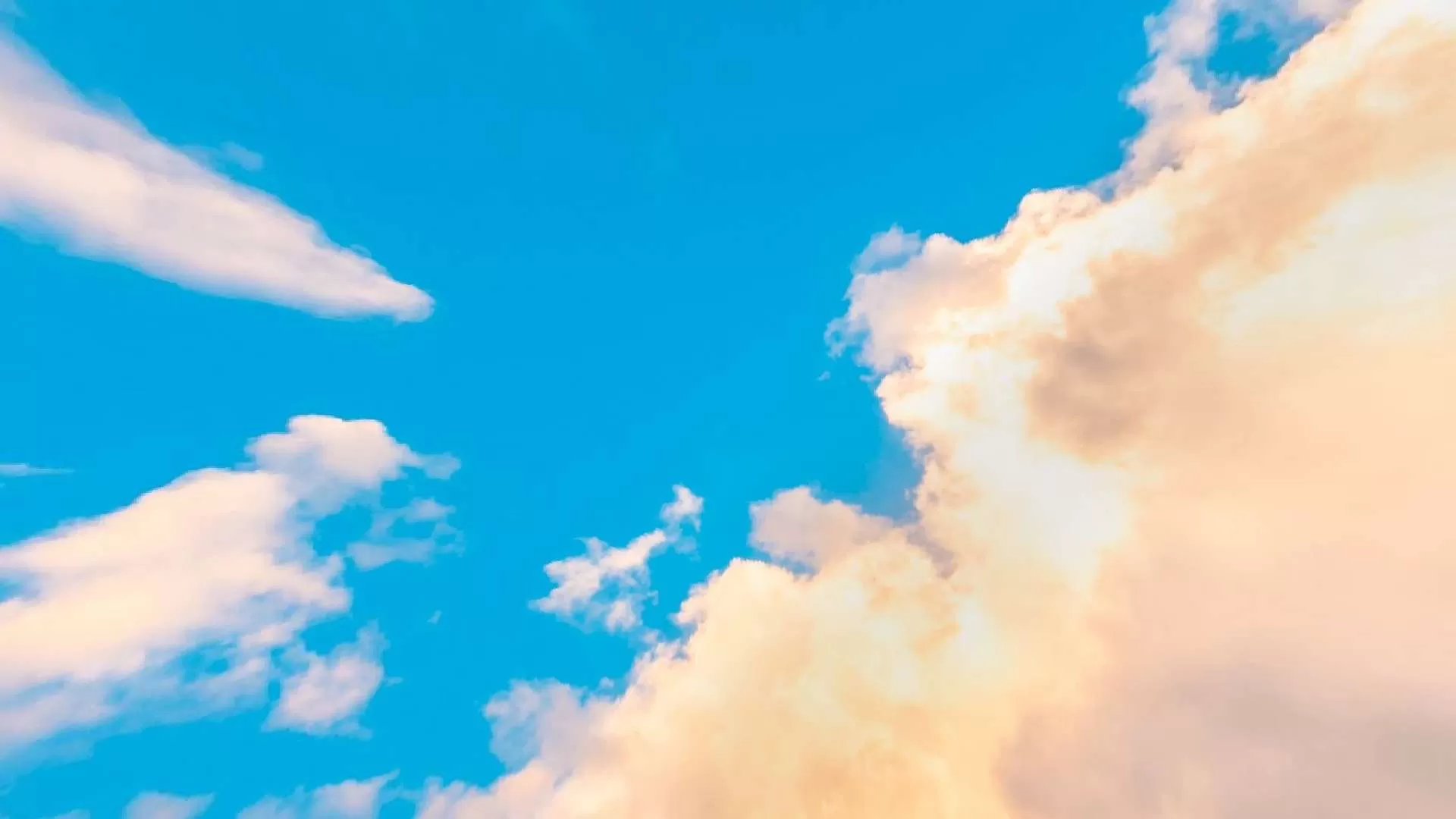 Gallery Image 7 for Chrollo on PVPRP