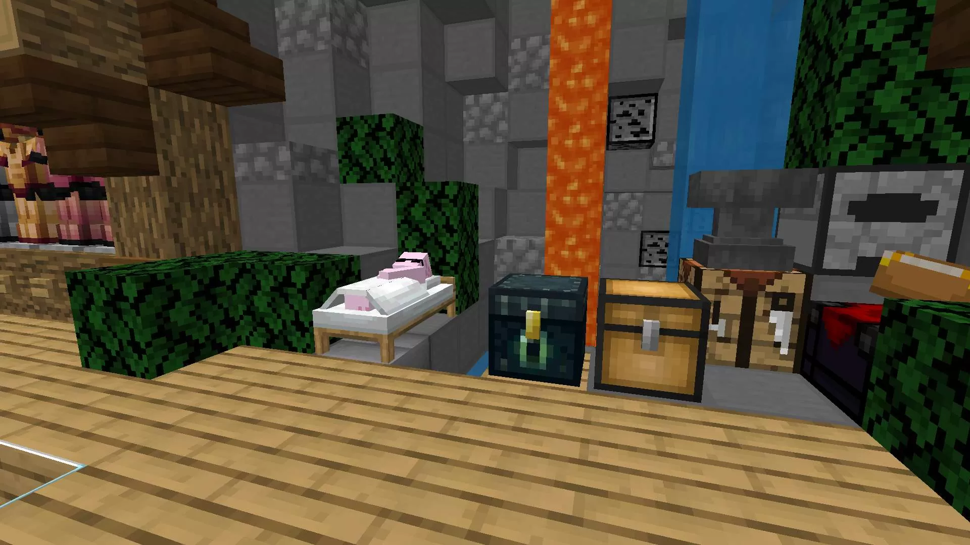 Gallery Image 5 for Axolotl (RDS) on PVPRP