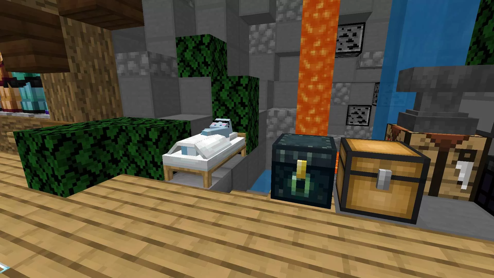 Gallery Image 4 for Hippo (RDS) on PVPRP