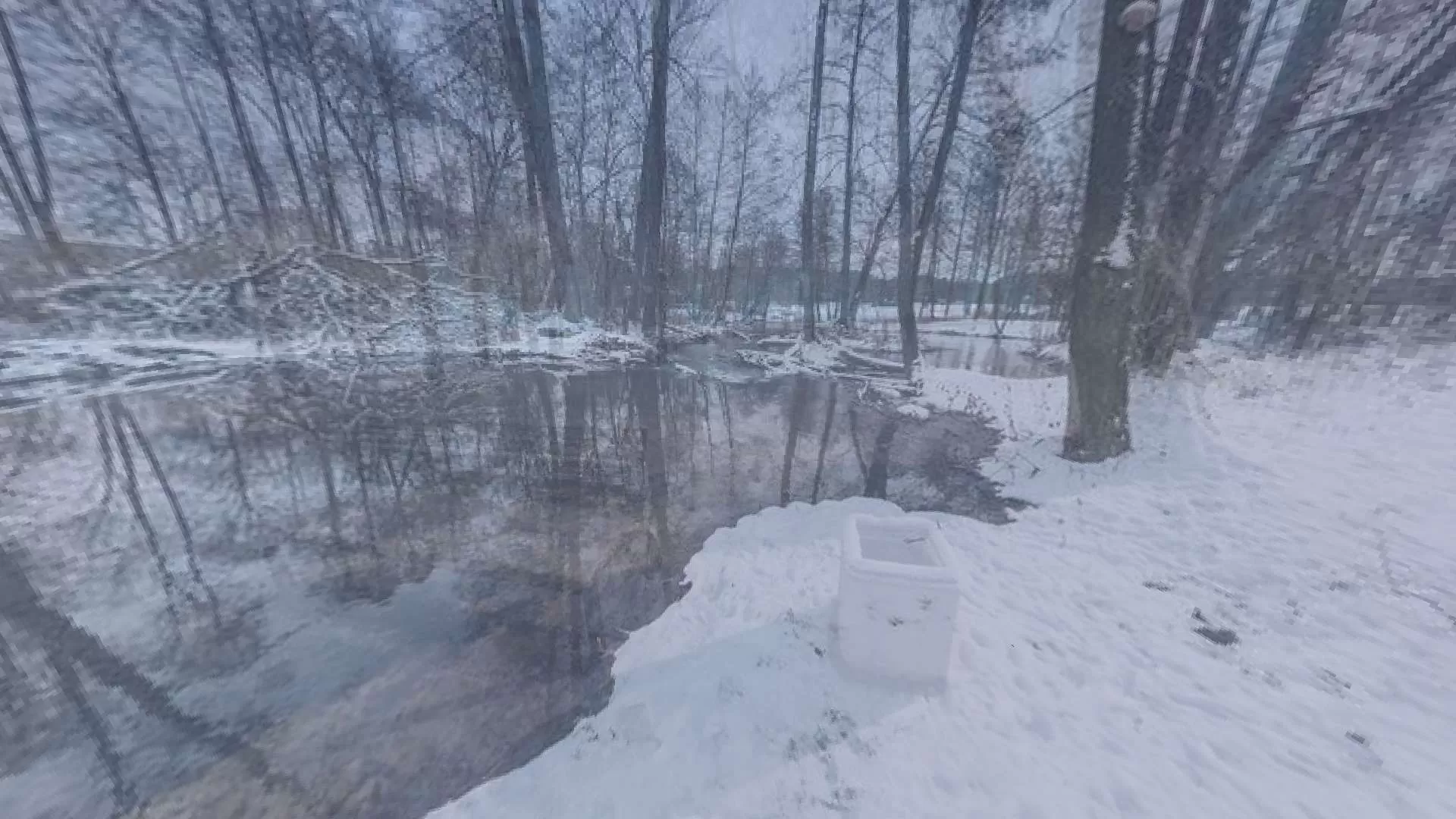 Gallery Image 7 for RainDeer on PVPRP