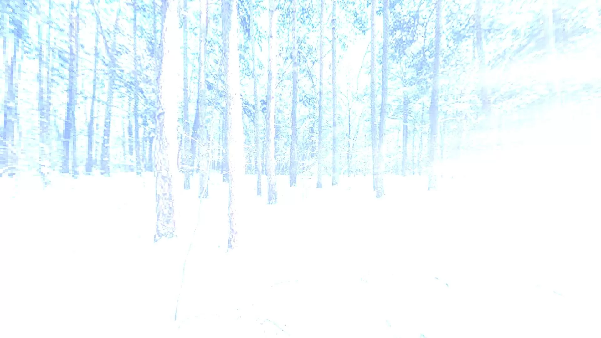 Gallery Image 8 for RainDeer on PVPRP