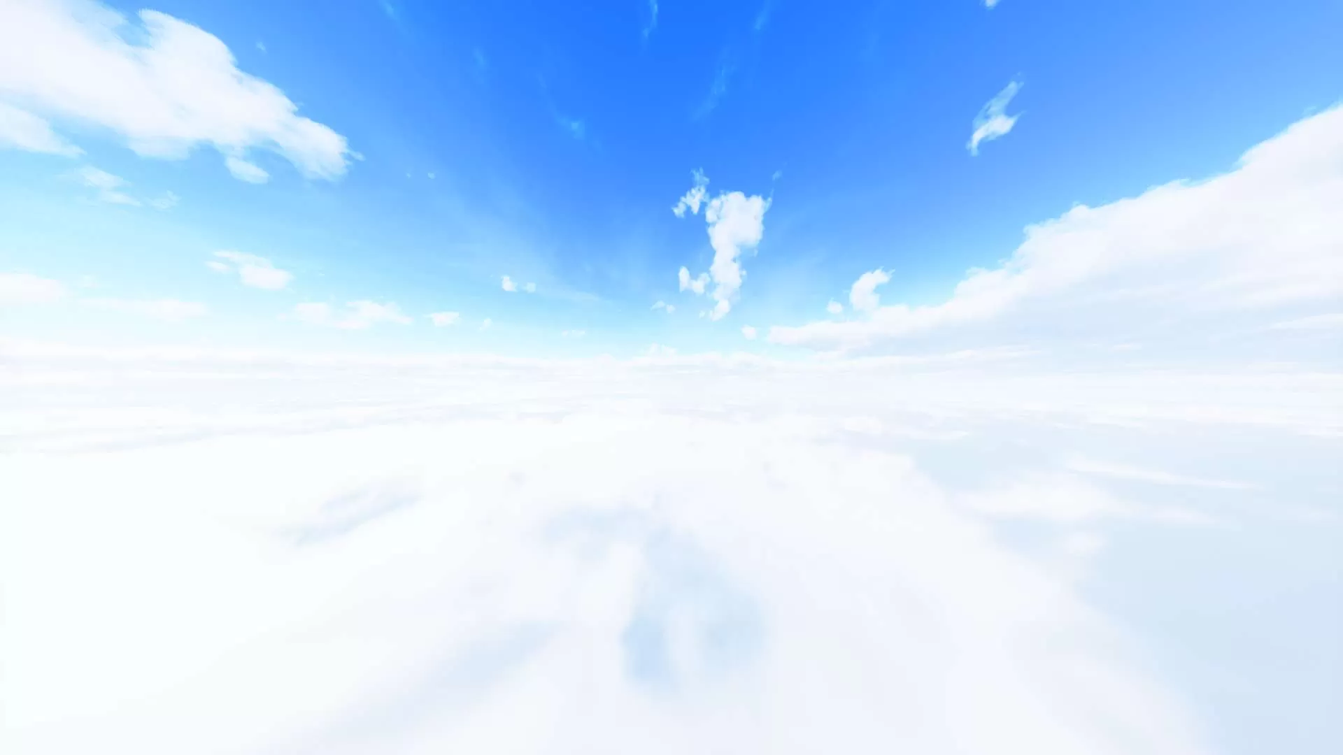 Gallery Image 6 for dax24 on PVPRP