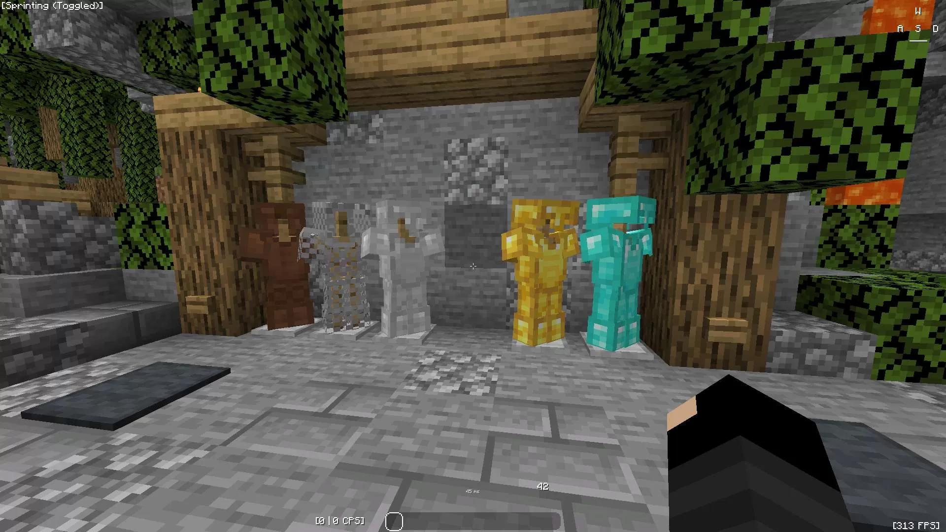 Gallery Image 5 for Trainer on PVPRP