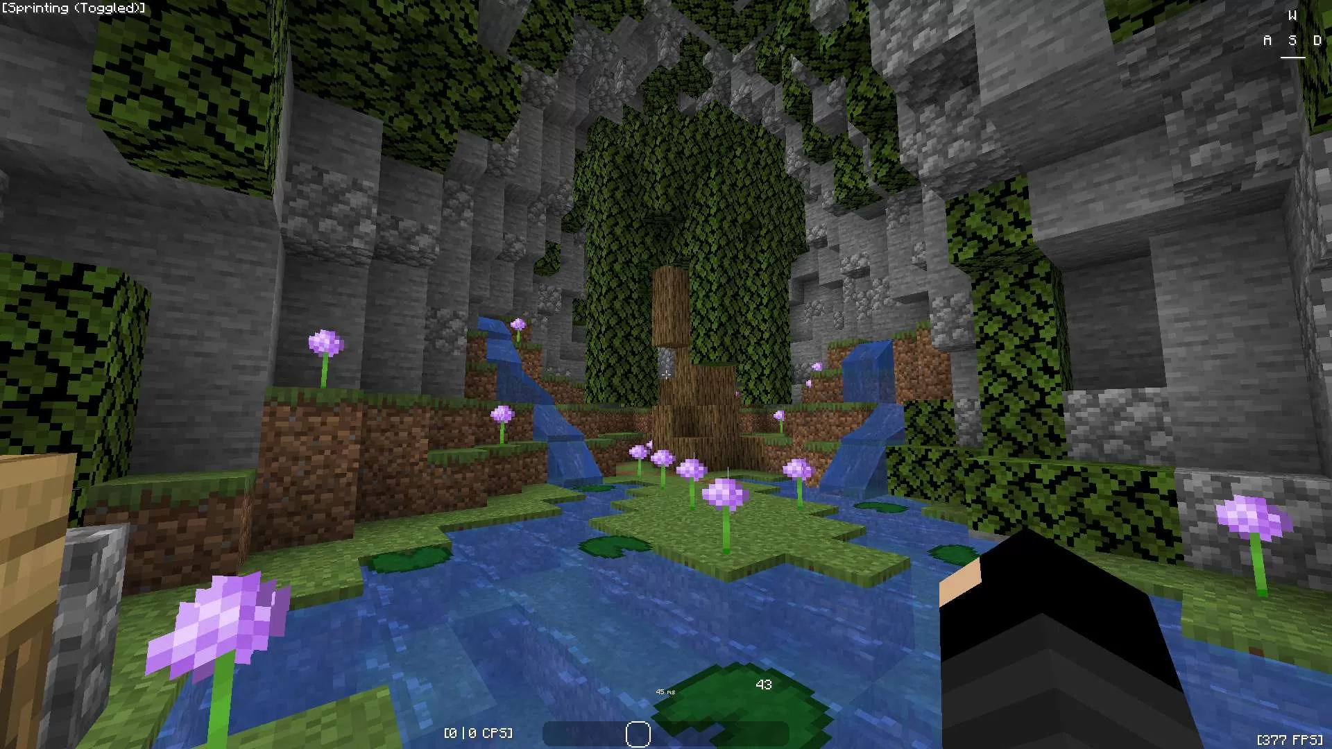 Gallery Image 8 for Trainer on PVPRP