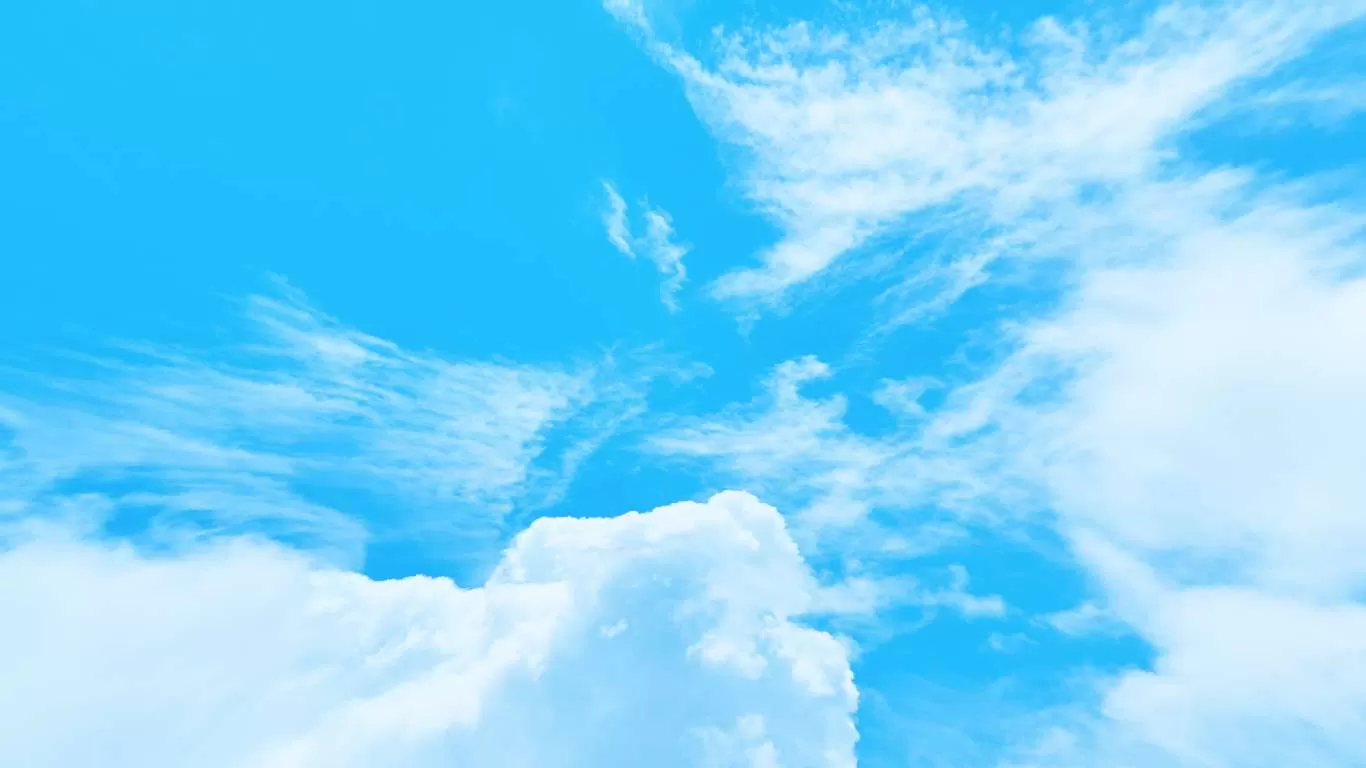 Gallery Image 5 for [Red] drag0n on PVPRP