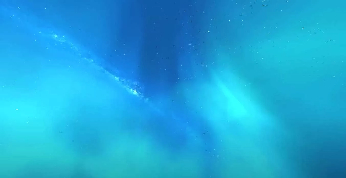 Gallery Image 4 for RKYFault  Grzybek